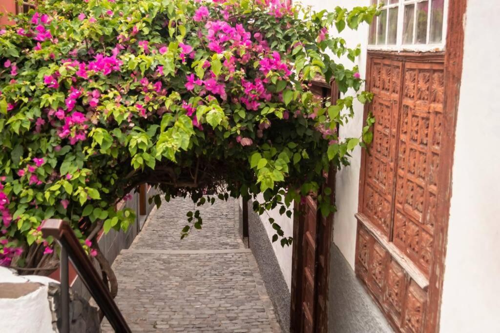 Salsalitre Chico Apartment Garachico  Exterior photo